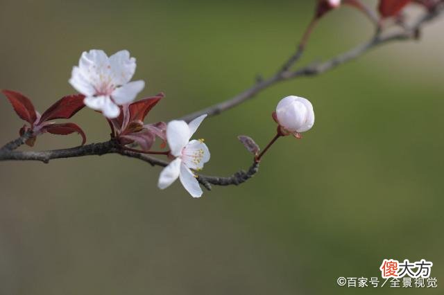 在这世间，凡事，不计较，你便活得不累了