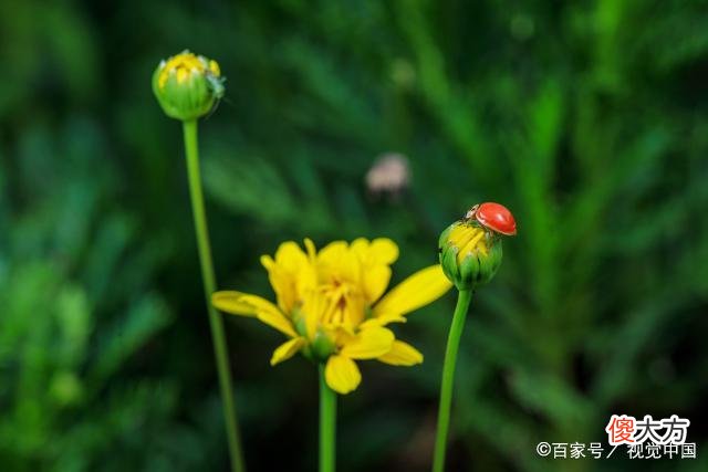 男人不爱一个女人，会对妻子遭受的委屈视而不见